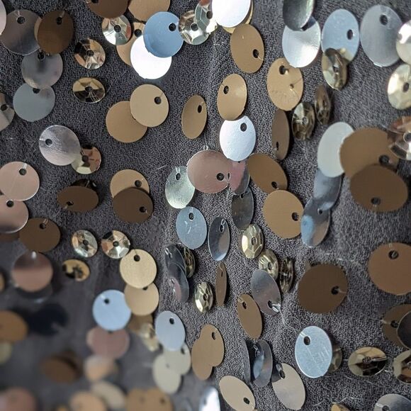 The Limited Top sz XS Grey Chiffon Sequin Front Silver Bronze Metallic Festive - Picture 7 of 9